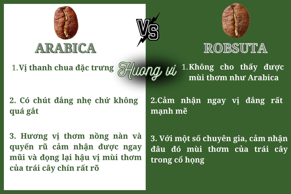 cà phê hạt - hương vị Robusta và Arabica