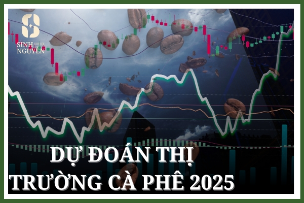 Dự đoán thị trường cà phê