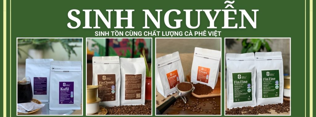 banner giới thiệu