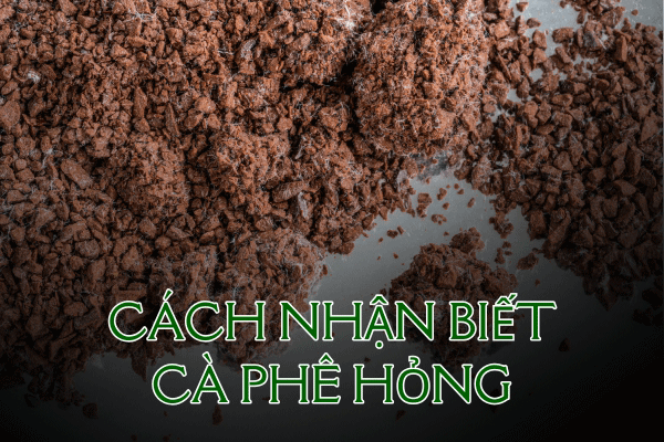 Cách nhận biết bảo quản cà phê hỏng