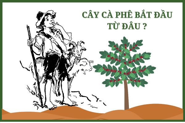 Lịch sử cà phê bắt đầu từ đâu