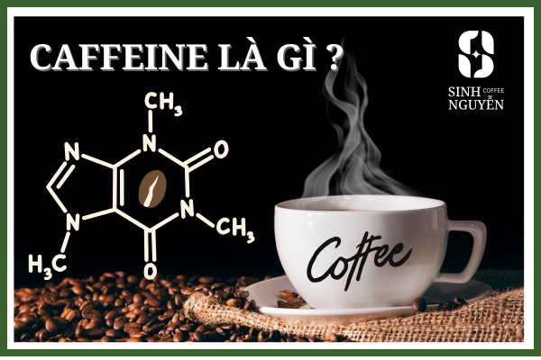 Caffeine là gì ?