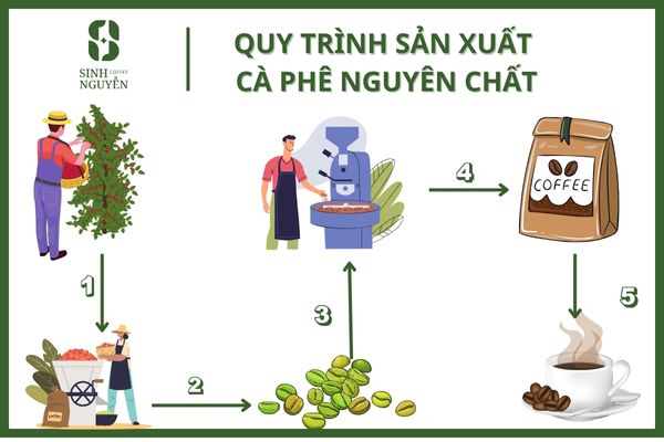 Quy trình sản xuất cà phê chất lượng cao