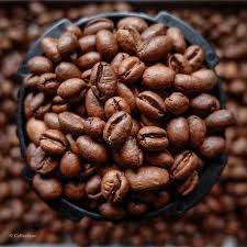 Mix Robusta & Arabica