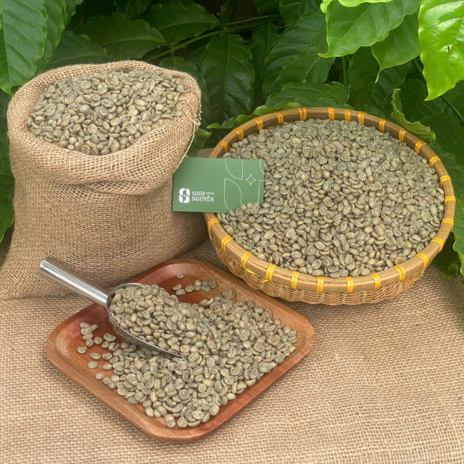 CÀ PHÊ NHÂN XANH CHẤT LƯỢNG CAO ARABICA
