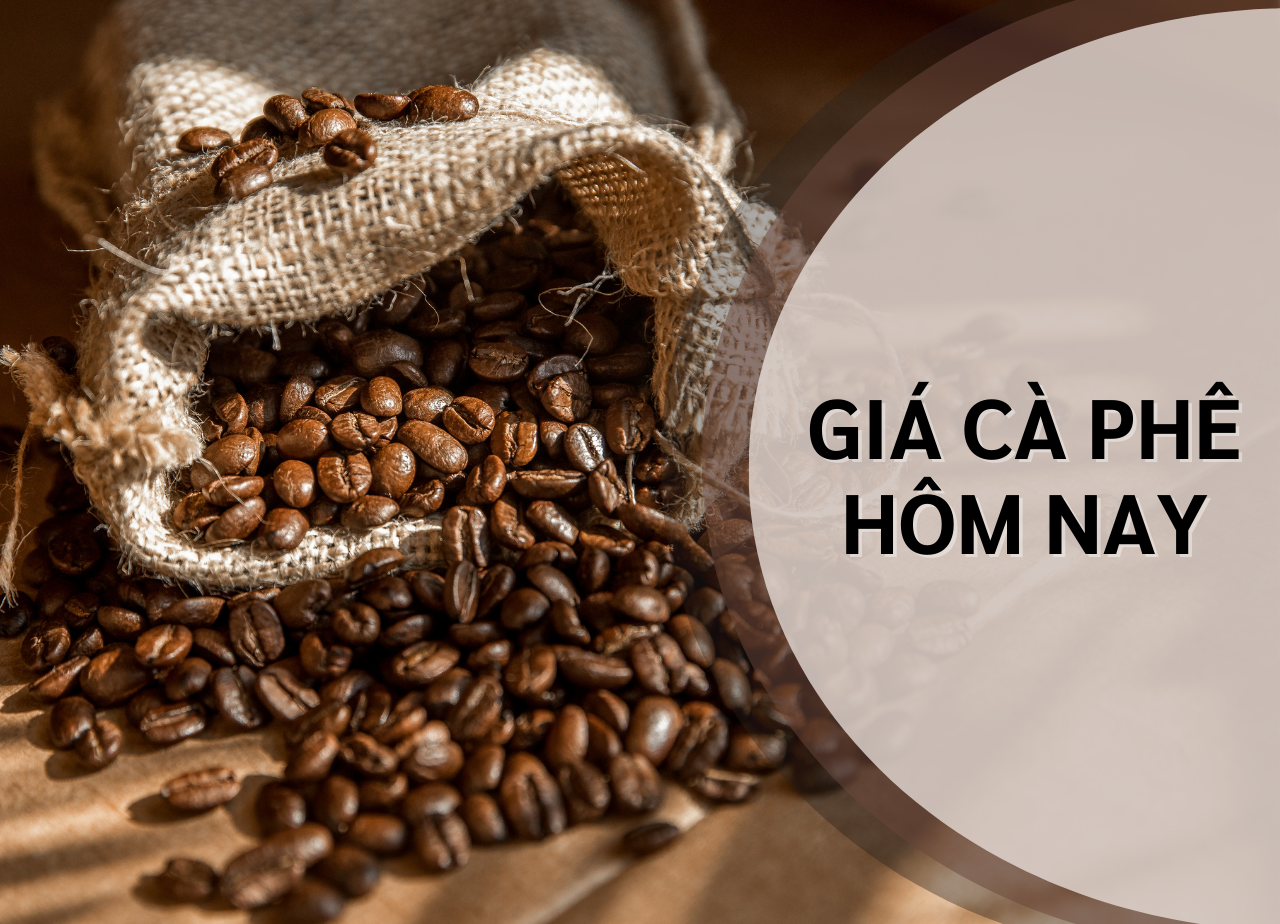 Thumbnail for Giá cà phê ngày 20/08/26