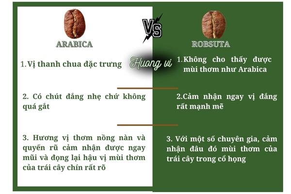 5 ĐIỀU KHIẾN CÀ PHÊ HẠT ARABICA VÀ ROBUSTA TRỞ NÊN ĐẶC BIỆT