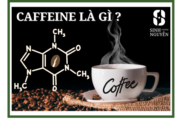 CAFFEINE LÀ GÌ? 5 LỢI ÍCH VÀ 5 RỦI RO ĐỐI VỚI SỨC KHỎE